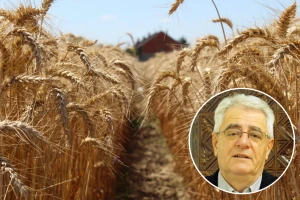 Epizoda vrućih dana se nastavlja, a dokad će trajati?