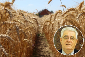 Epizoda vrućih dana se nastavlja, a dokad će trajati?