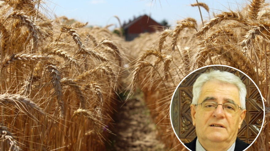 Epizoda vrućih dana se nastavlja, a dokad će trajati?