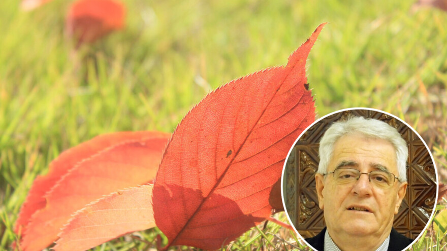 Bablje ljeto ne posustaje?