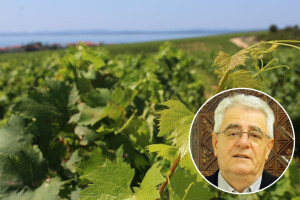 Pojave kiše će uskoro biti, ali vrlo malo i tek ponegdje na kopnu