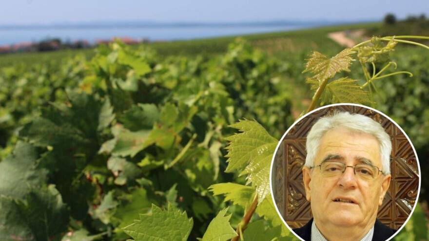 Pojave kiše će uskoro biti, ali vrlo malo i tek ponegdje na kopnu