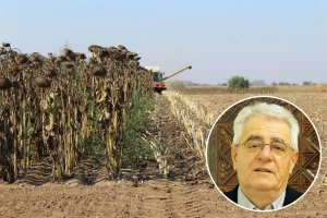Dani vikenda bit će oblačni s vjerojatnošću pojave kiše