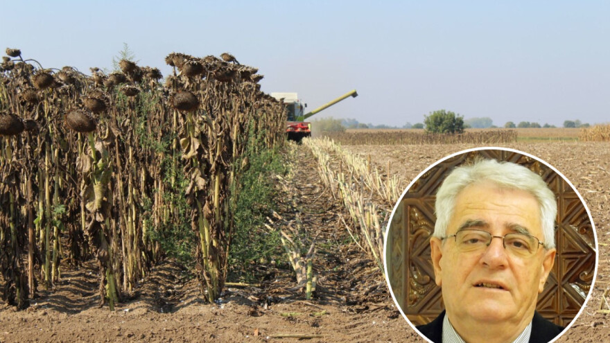 Dani vikenda bit će oblačni s vjerojatnošću pojave kiše