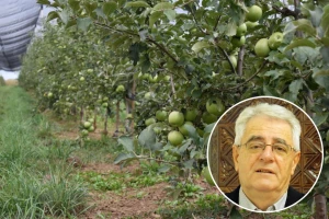 Uskoro će jesen i astronomski početi, a kakvo vrijeme donosi?