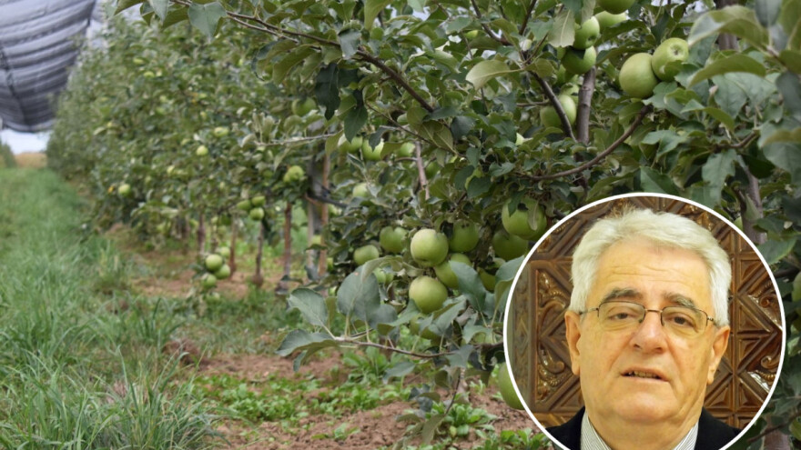 Uskoro će jesen i astronomski početi, a kakvo vrijeme donosi?