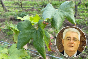 Razdoblje stabilnog i iznadprosječno toplog vremena se nastavlja