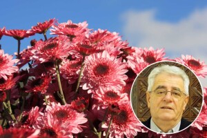 Svi Sveti mrzli dan, Božić u ledu okovan?