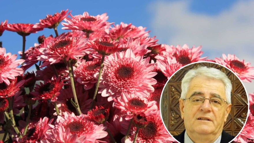 Svi Sveti mrzli dan, Božić u ledu okovan?