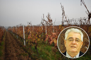 Blagdan svetog Martina treba dostojno proslaviti, kakvo nas vrijeme očekuje?