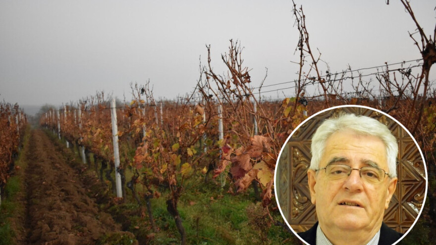 Blagdan svetog Martina treba dostojno proslaviti, kakvo nas vrijeme očekuje?