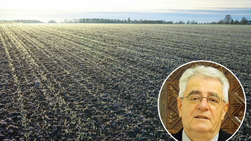 Sveta Luce, ukaži nam Sunce