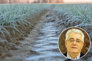 Tlo je vrlo vlažno pa ratarske kulture ponegdje već trpe od viška vode u tlu
