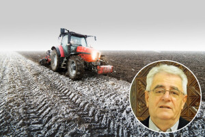 O Božiću juga - bit će zima duga