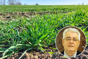 Topla zima ne prestaje, u dijelu zemlje moguće i bujične poplave