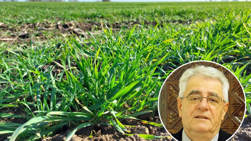 Topla zima ne prestaje, u dijelu zemlje moguće i bujične poplave