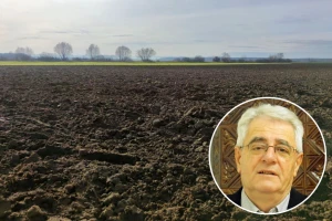 Tlo je vrlo vlažno pa ozime ratarske kulture ponegdje trpe od viška vode