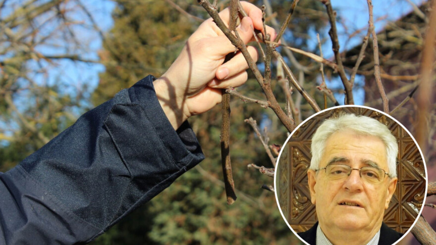 Obavljate rezidbu? Dobro će vam doći vunena kapa i rukavice