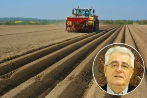Očekuje se dovoljno toplo tlo za sadnju krumpira, ali i pojava mraza