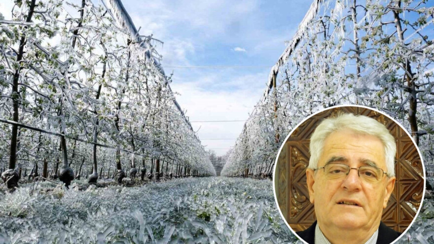 Zaštita od mraza može i mora početi