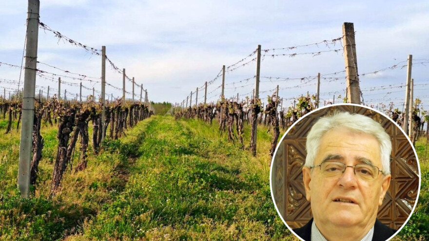 Česte će oborine usporiti poljodjelske radove, kad se vraća sunčano vrijeme?