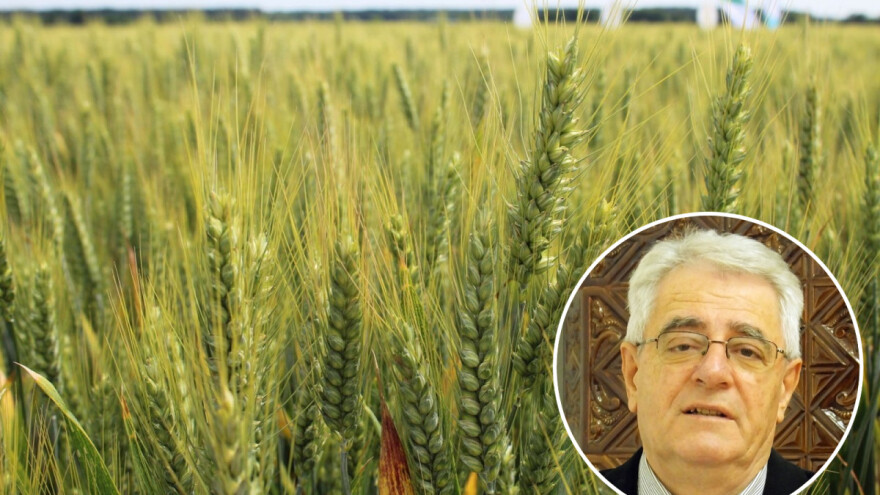 Kakvo nam vrijeme donosi klimatološki početak ljeta?