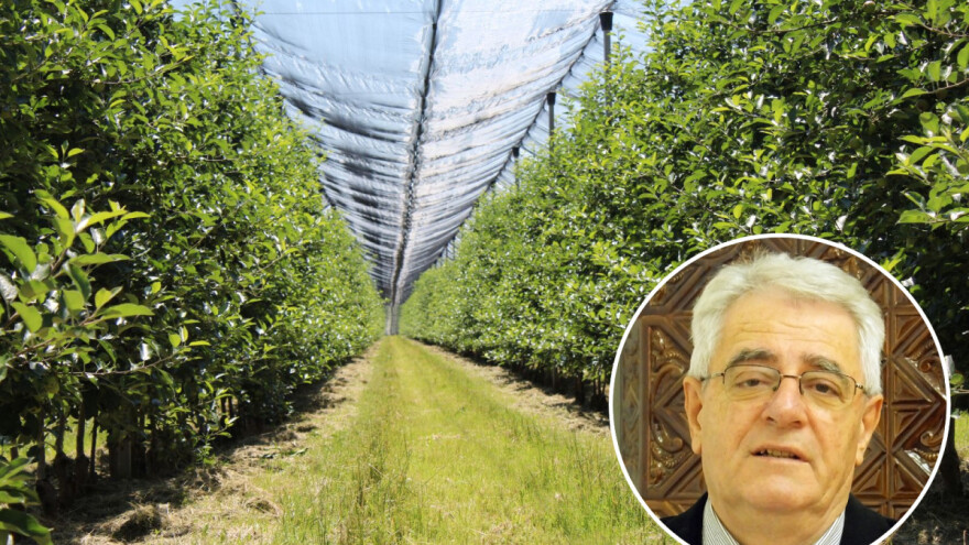 Stiže nam astronomsko ljeto - donosi kraj nestabilnom vremenu?