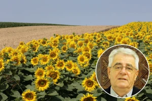 Dosta vam je toplinskog vala? Pripremite se, stiže nam još jedan