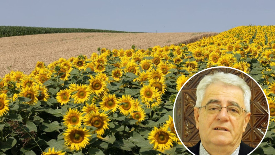 Dosta vam je toplinskog vala? Pripremite se, stiže nam još jedan