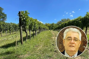 Ljeto nije gotovo - pred nama je slijed suhih, sunčanih i vrućih dana