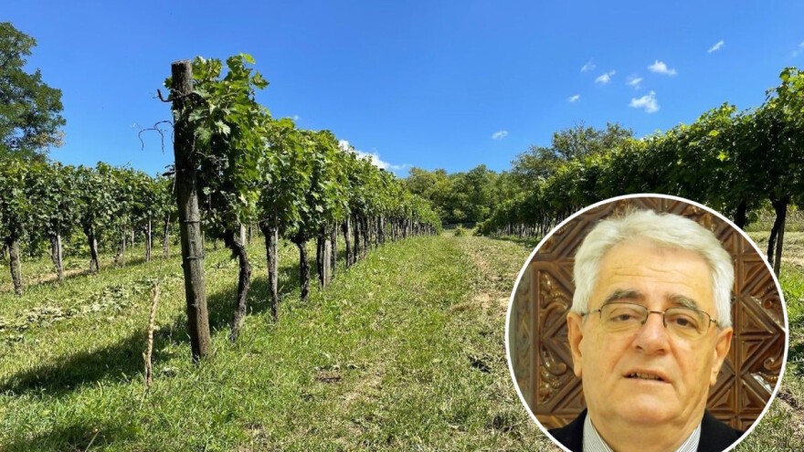 Ljeto nije gotovo - pred nama je slijed suhih, sunčanih i vrućih dana