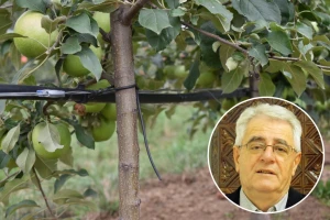 Ljeto se ne da - pogoršanje vremena bit će kratkotrajno