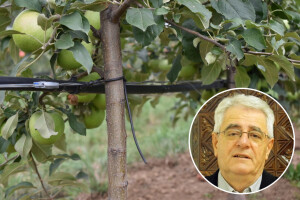 Ljeto se ne da - pogoršanje vremena bit će kratkotrajno
