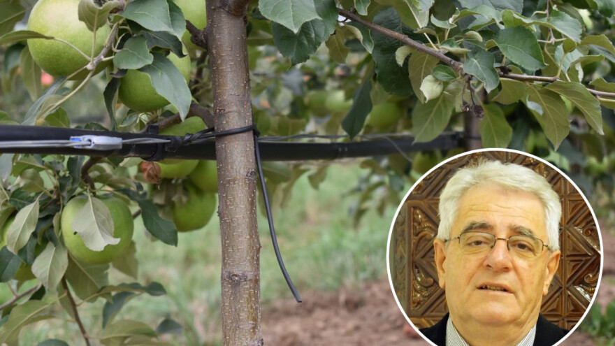 Ljeto se ne da - pogoršanje vremena bit će kratkotrajno