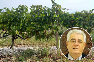 Jesen i kiša prekinuli su radove u polju i nasadima, ali imamo dobre vijesti za poljodjelce