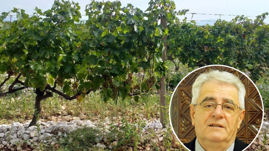 Jesen i kiša prekinuli su radove u polju i nasadima, ali imamo dobre vijesti za poljodjelce