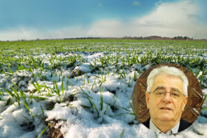 Izreka kaže "sveta Luce pokaži nam sunce", ali snijeg je izgledniji