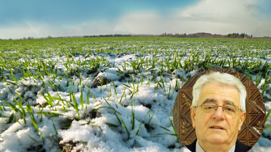 Izreka kaže "sveta Luce pokaži nam sunce", ali snijeg je izgledniji