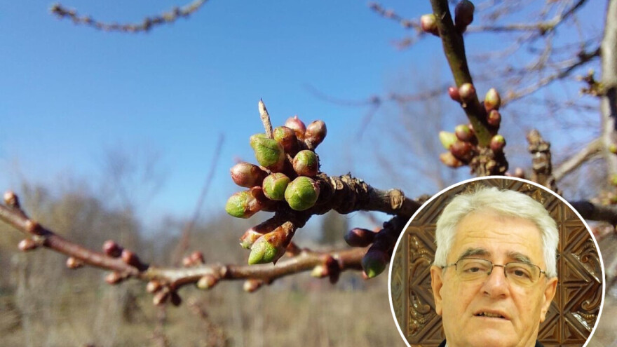 Topla veljača - hladan ožujak?