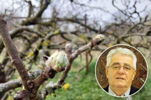 Oprez, krajem tjedna moguća je pojava mraza, u gorju i snijeg