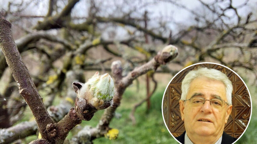 Oprez, krajem tjedna moguća je pojava mraza, u gorju i snijeg