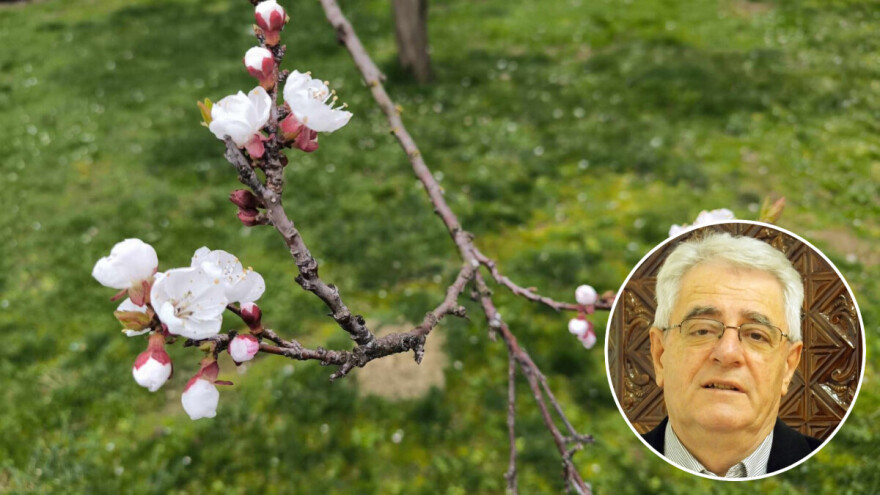 Oprez, mraz je moguć i krajem ovog tjedna