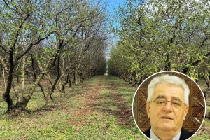 Ožujak nosi titulu prevrtljivog i mjeseca lašca - pokazat će nam zašto