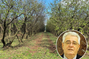 Ožujak nosi titulu prevrtljivog i mjeseca lašca - pokazat će nam zašto