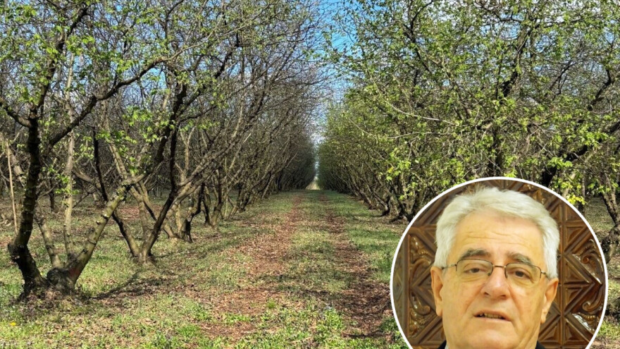 Ožujak nosi titulu prevrtljivog i mjeseca lašca - pokazat će nam zašto