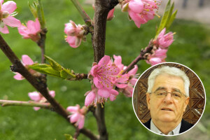 Uskrsni produženi vikend u dijelovima Hrvatske s temperaturama koje idu i do 26℃