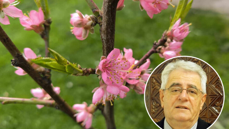 Uskrsni produženi vikend u dijelovima Hrvatske s temperaturama koje idu i do 26℃