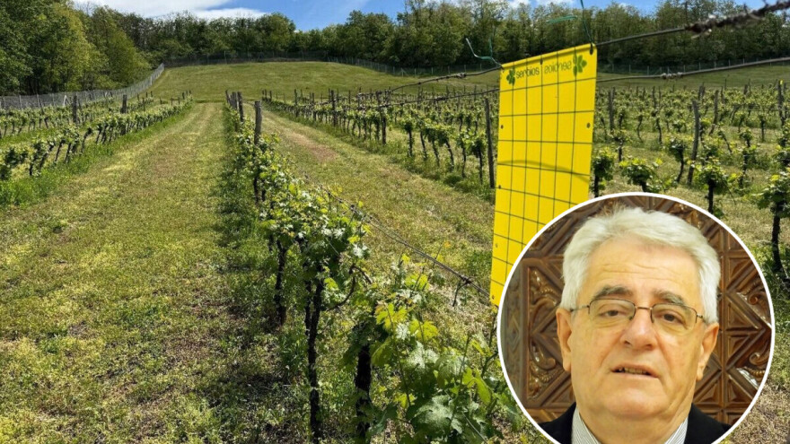 Oprez jer mraza ovaj tjedan još može biti, ali veseli dolazak suhih, sunčanih i toplijih dana