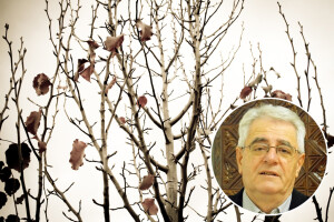 Ako zima ne ujede zubima, ošinut će repom
