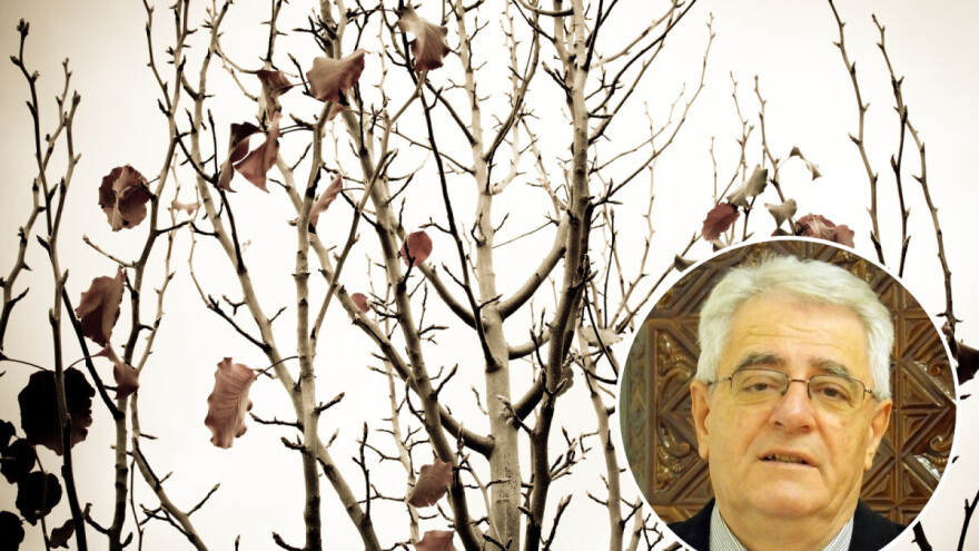 Ako zima ne ujede zubima, ošinut će repom